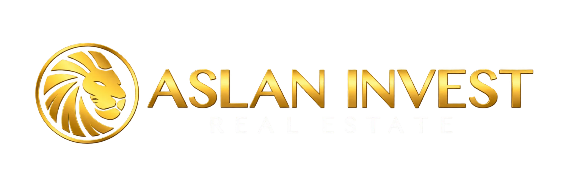 Aslan Invest