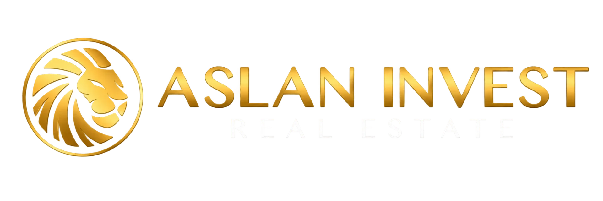Aslan Invest